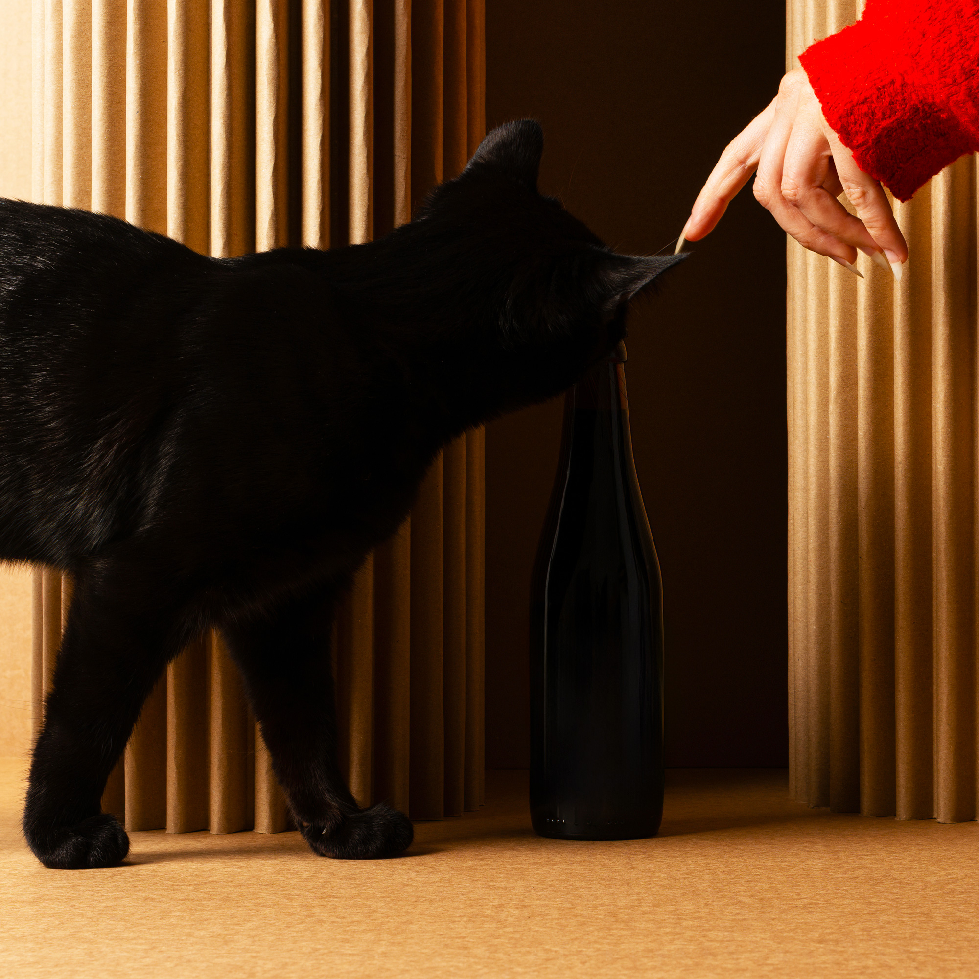 BTS_15©Aivaras_Simonis BTS_15©Aivaras_Simonis